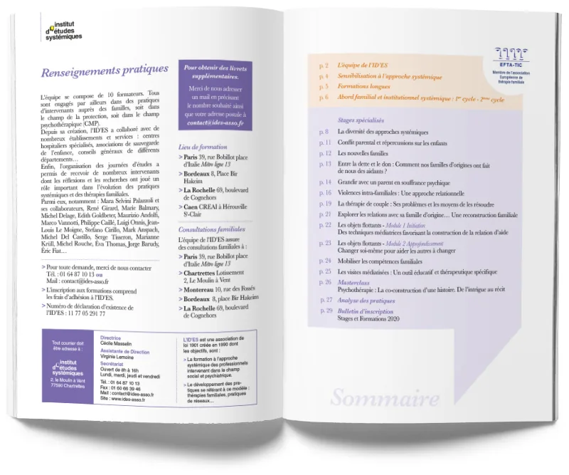 Institut d’études systémiques — visuel 3