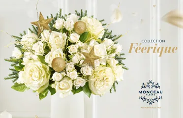 Monceau Fleurs — Client direct : Activation / Pub.