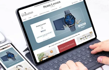 Pierre Lannier — Client direct : Plateforme de marque