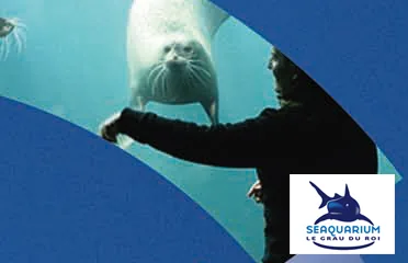 Seaquarium — Agence Wonderfull : Édition
